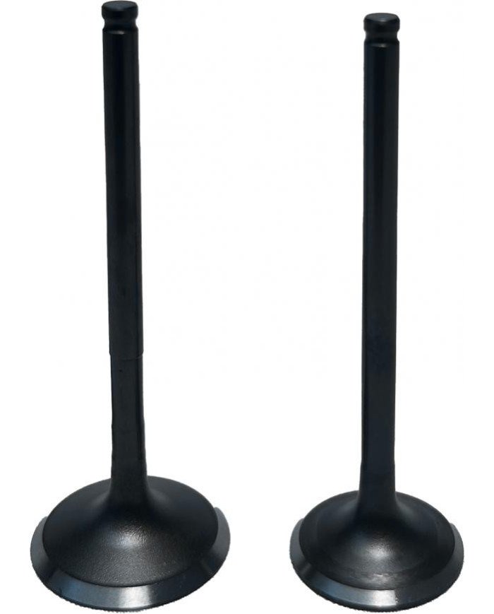 KIT VALVULAS CBF150/CB150 BSJ