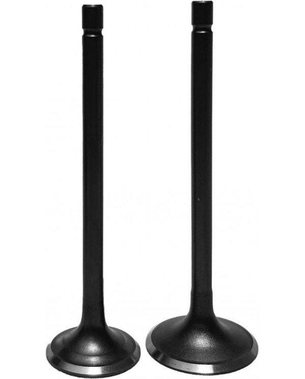 KIT VALVULAS CG-150 BSJ