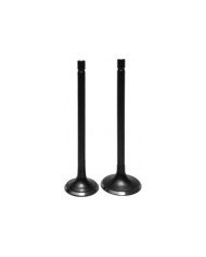 KIT VALVULAS CG-150 BSJ