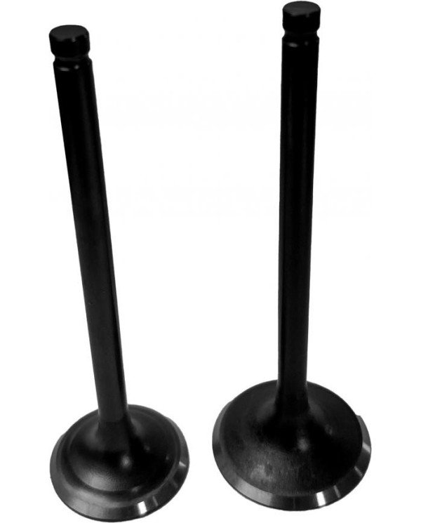 KIT VALVULAS CG-200 BSJ