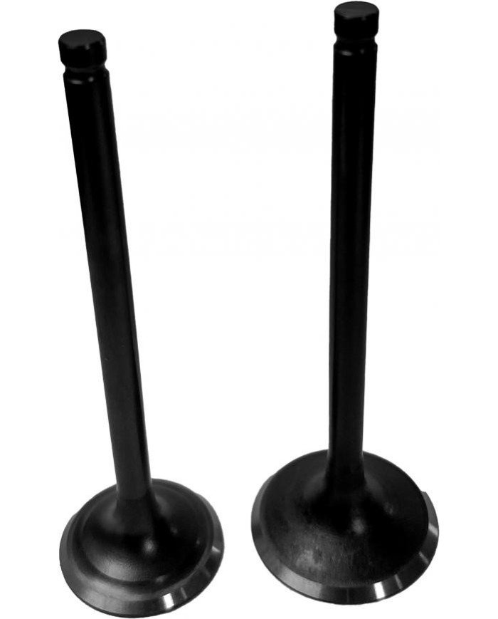 KIT VALVULAS CG-250 BSJ