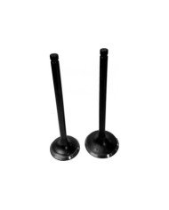 KIT VALVULAS CG-250 BSJ