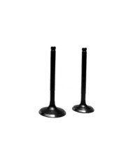 KIT VALVULAS CB200/250 BSJ