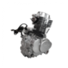 MOTOR MARCA YANG ZU CG200 LINEAL-CARGO 163FMLR1221519
