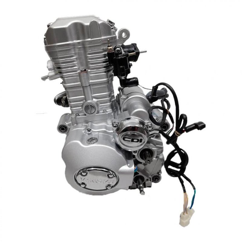 MOTOR MARCA YANG ZU CG250 AGUA 170MMP1189320