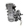 MOTOR MARCA YANG ZU CG250 AGUA 170MMP1189320
