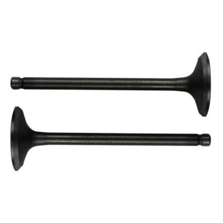 VALVULA ADMI-ESCAP HONDA CB110/WAVE110S/CB1/GL125 VTC