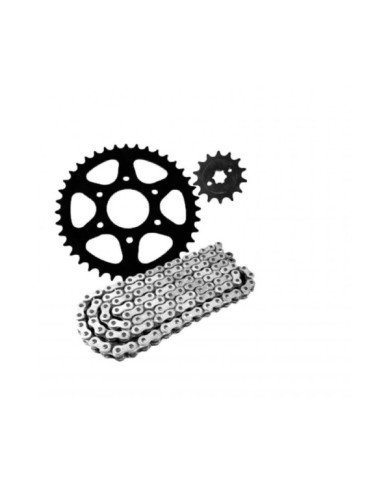 KIT ARRASTRE 428HO-124L-44T-13T TVS RTR160 GDM