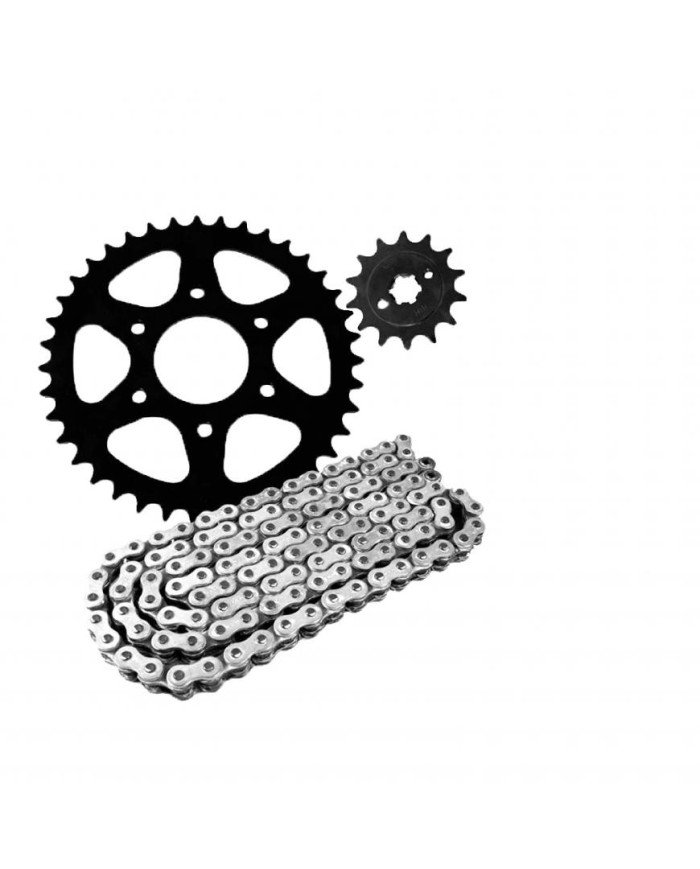 KIT ARRASTRE 428HO-124L-44T-13T TVS RTR160 GDM