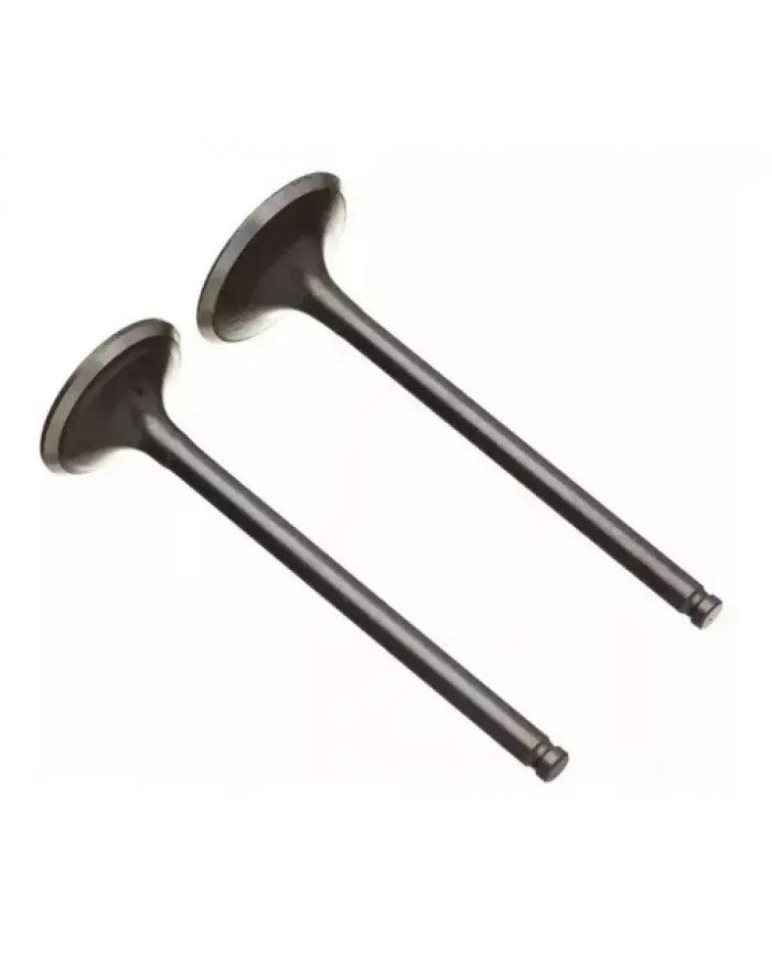 VALVULA ADM/ESCA YBR-XTZ125 PROTECH