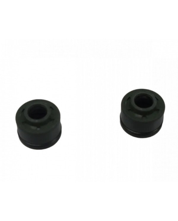 RETEN VALVULA FZ16 21C BB