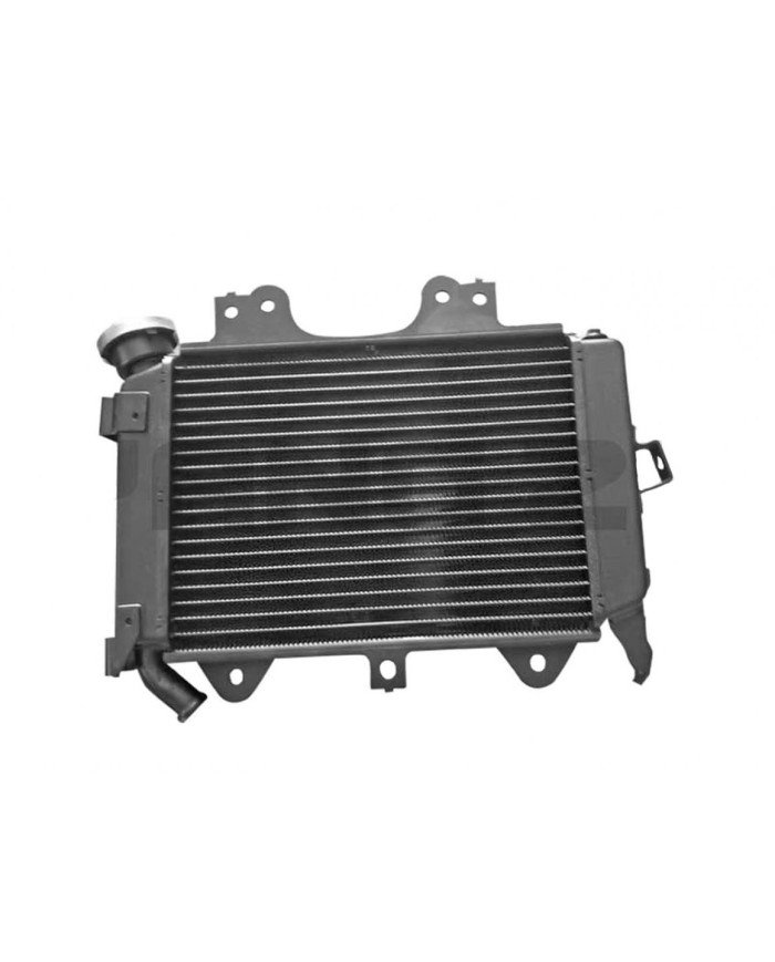 RADIADOR AGUA PULSAR NS200 YZU