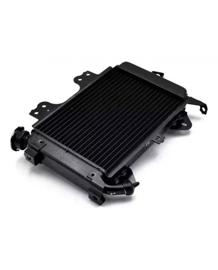 RADIADOR AGUA PULSAR NS200 YZU