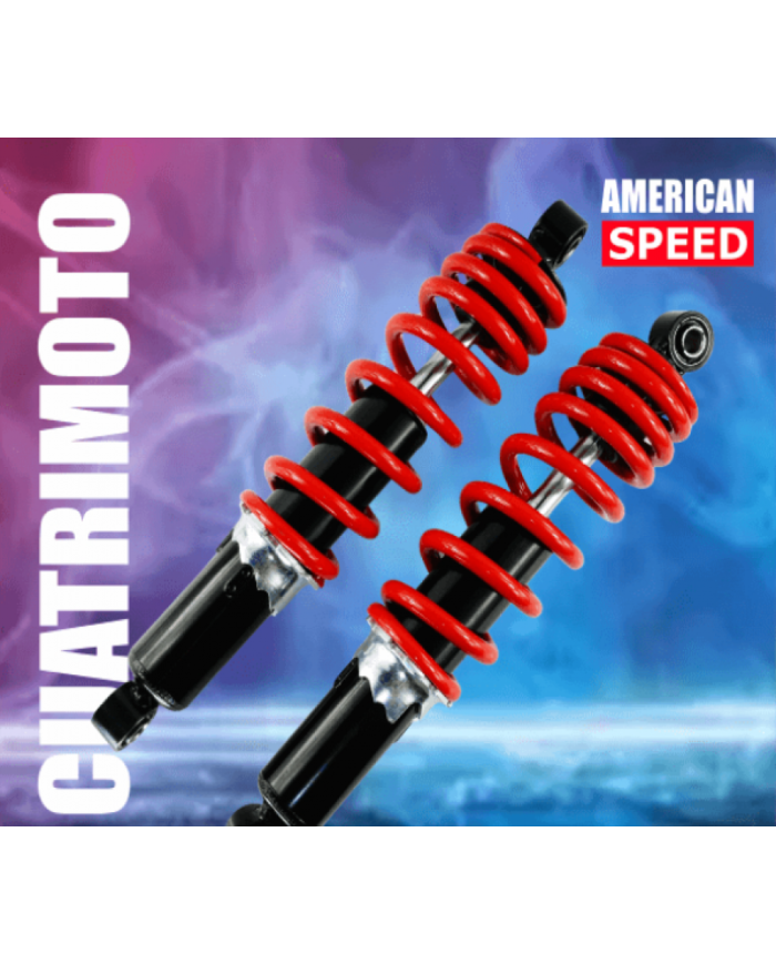 AMORTIGUADOR DELT CUATRIMOTO LXG