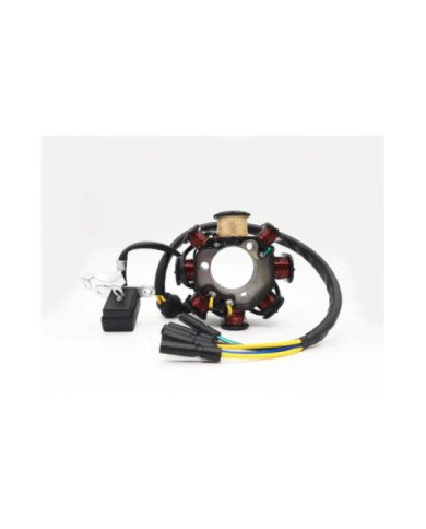 ALTERNADOR 12V RTM200cc 8P 3H 5CABLES