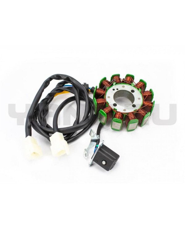 ALTERNADOR 12POLOS 250W CARGUERO KIGCOL