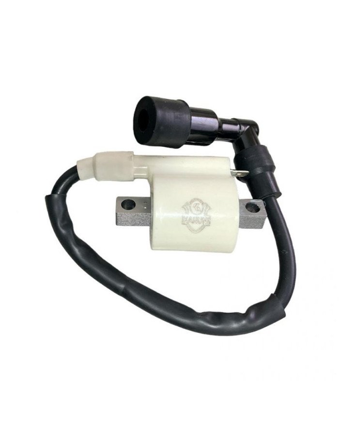 BOBINA DE ALTA PULSAR 180/135 PROFESIONAL