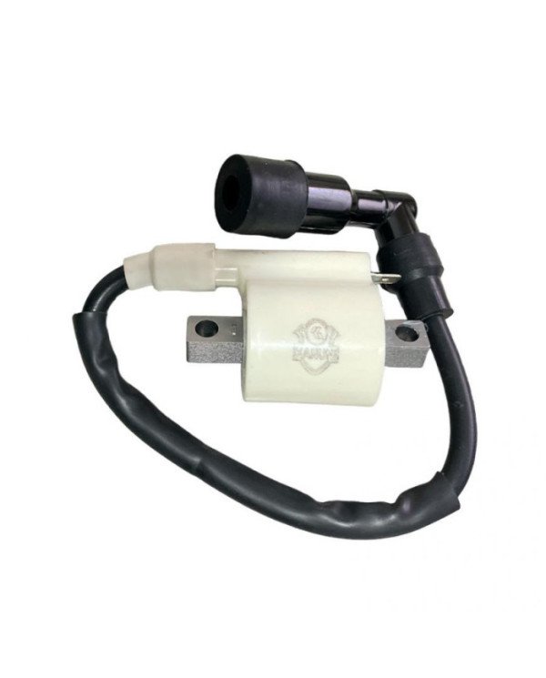 BOBINA DE ALTA PULSAR 180/135 PROFESIONAL