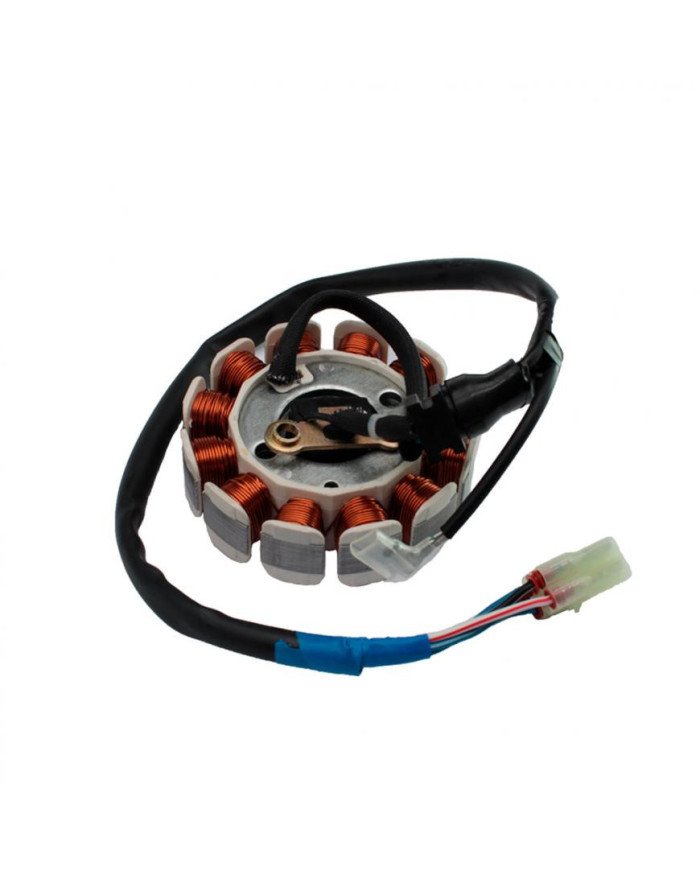 BOBINA ESTATOR DISCOVER125/150 PULSAR135 (12BOBINAS) SPARTAN