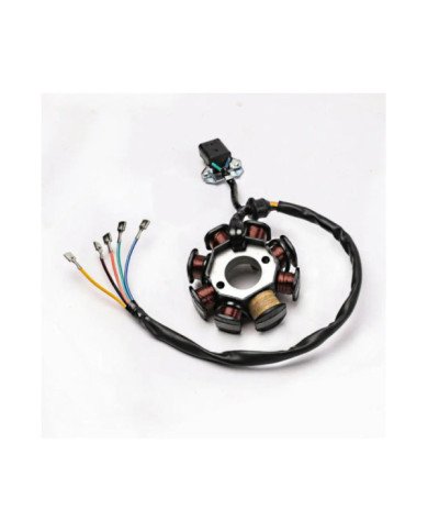 ALTERNADOR 12V RTM200cc 8P 2H 5CABLES
