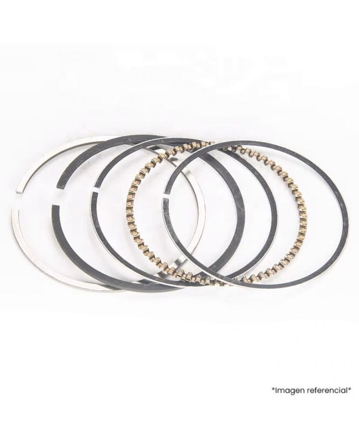 ANILLO STD CD100 TP JP