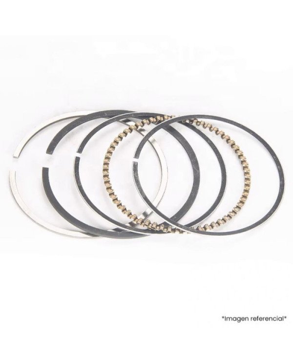 ANILLO STD CD100 TP JP