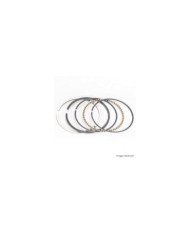 ANILLO STD CD100 TP JP