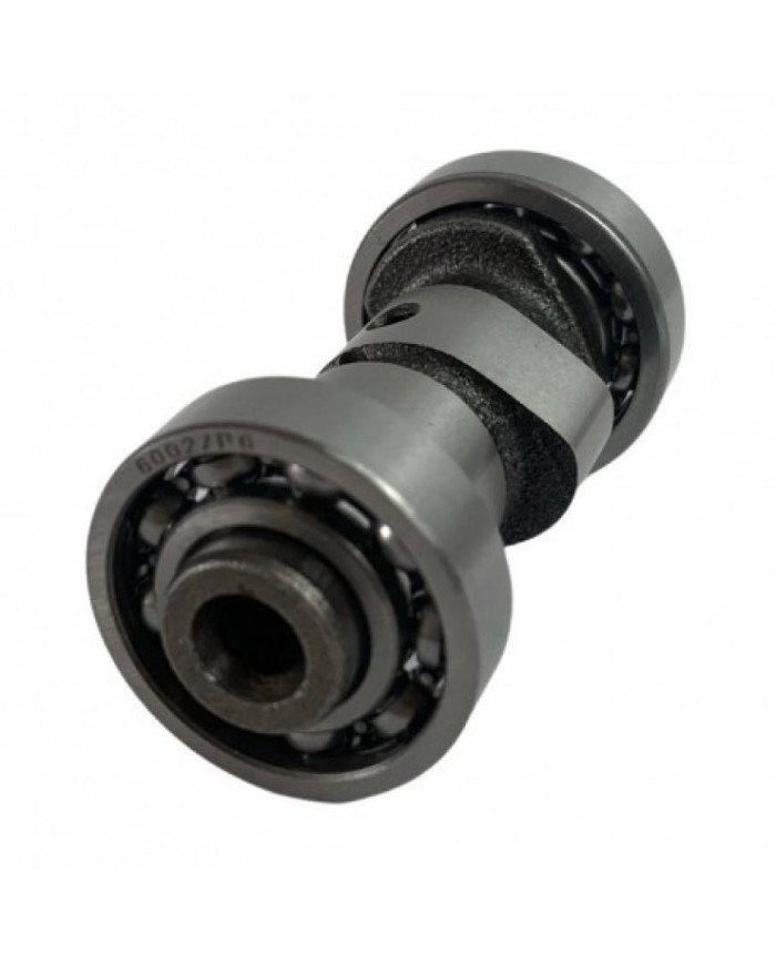 EJE LEVA XTZ-YBR125 C/RODALES RCC