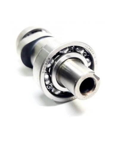 EJE LEVA DISCOVER GDM