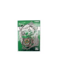 EMPAQUE AB CG 250 ZS (AGUA) RCC