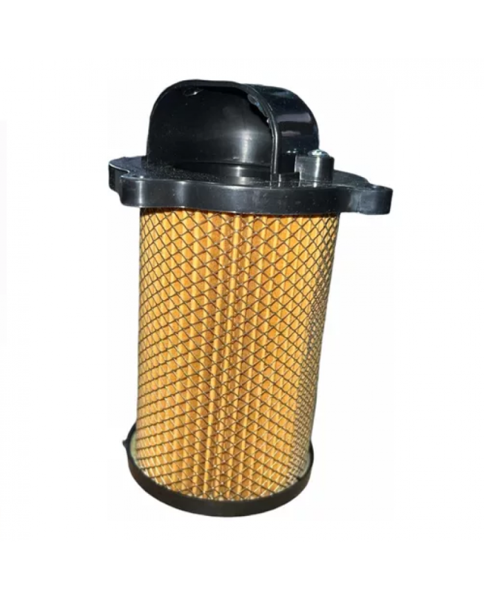 FILTRO AIRE ITALIKA DM150 GDM