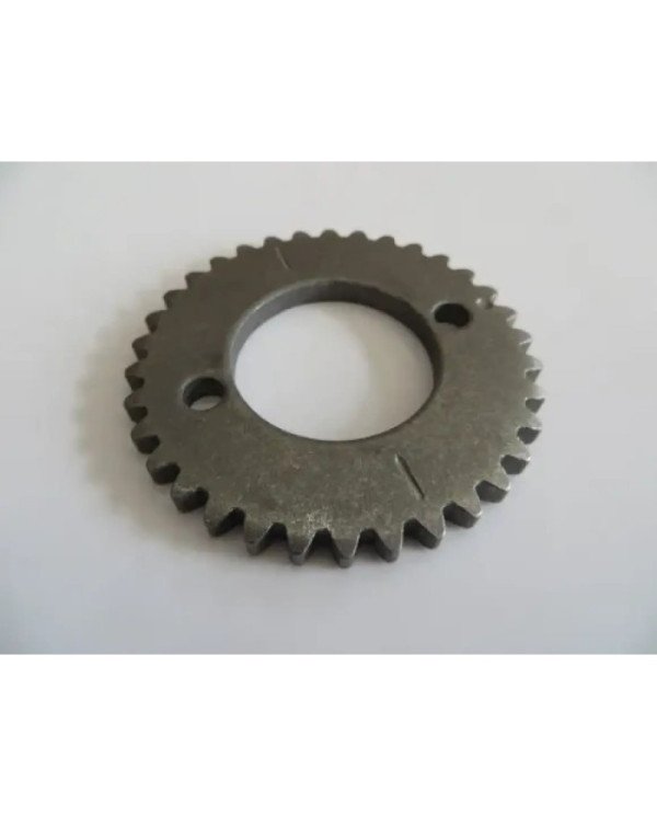 PINON LEVA 34T C/CADENA 100L 3X4 RCC