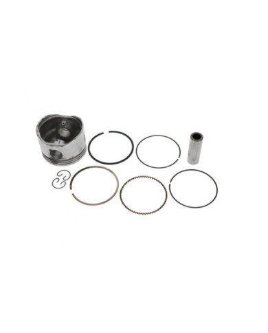 PISTON KIT STD DTS180PULSAR JP