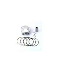 PISTON KIT 050 GY6 SCOOT 125 TW