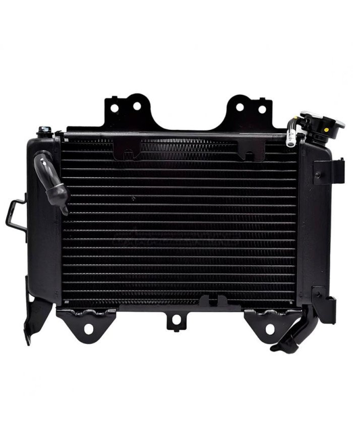 RADIADOR AGUA PULSAR NS200 ARC