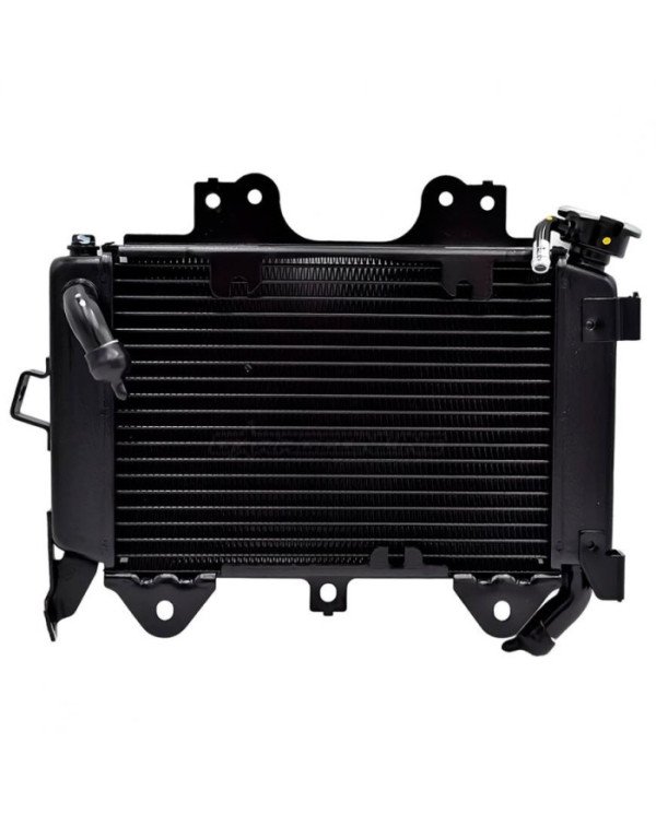 RADIADOR AGUA PULSAR NS200 ARC