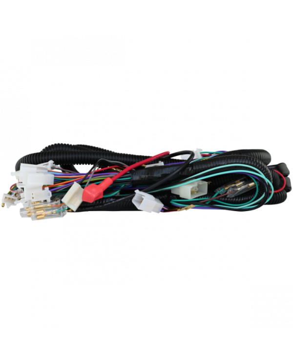 RAMAL ELECTRICO TRIMOTO CARGUERO PREM CN