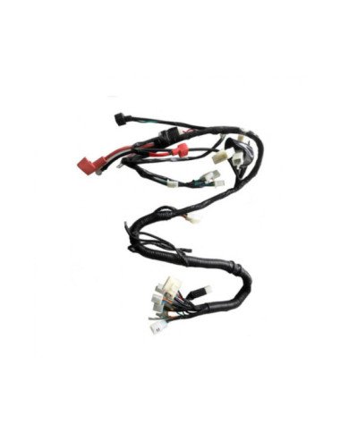 RAMAL ELECTRICO GL PREMIER