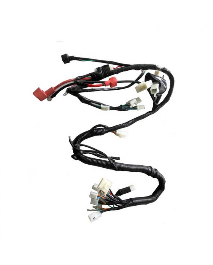 RAMAL ELECTRICO GL PREMIER