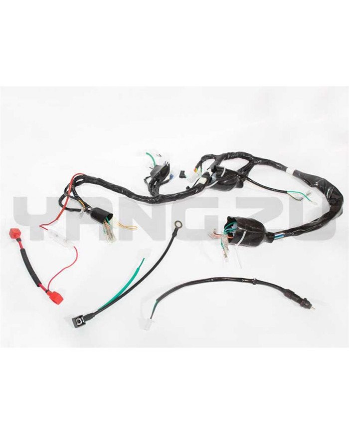 RAMAL ELECTRICO NEXUS 150CG (JH-CG1) TABLERO ELECTRICO YZU