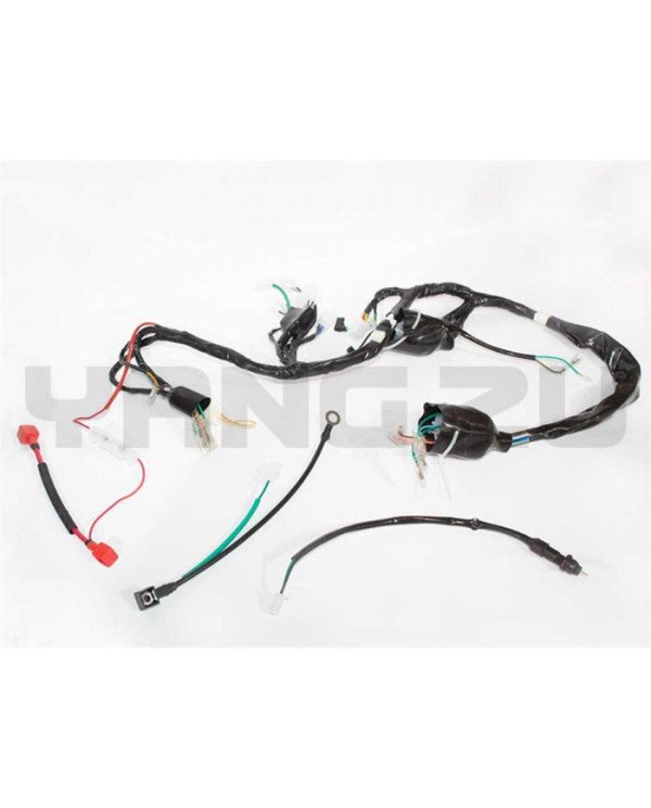 RAMAL ELECTRICO NEXUS 150CG (JH-CG3) TABLERO DIGITAL YZU