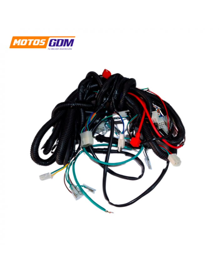 RAMAL ELECTRICO TRIFASICO CARGUERO GDM