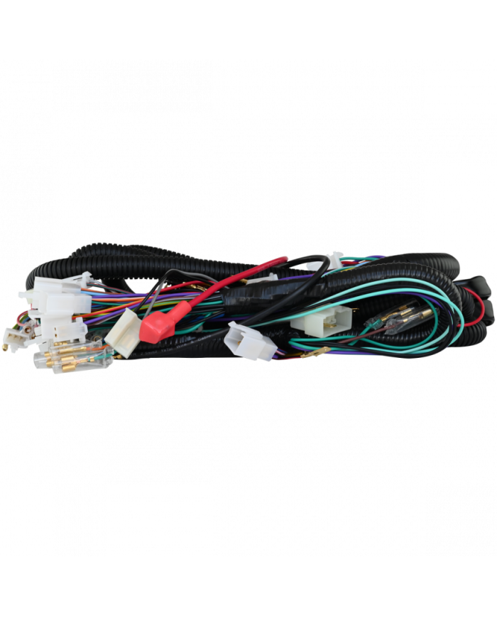 RAMAL ELECTRICO CARGUERO 200 BJR