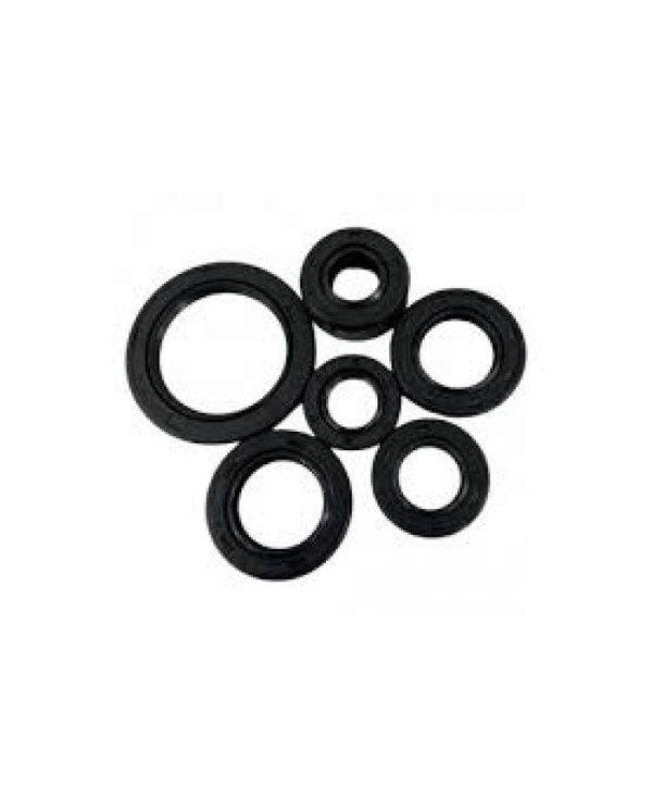 RETEN KIT MOTOR CD100 RTM