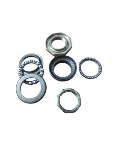 TAZA TIMON CHOPER RTM150-200 CN