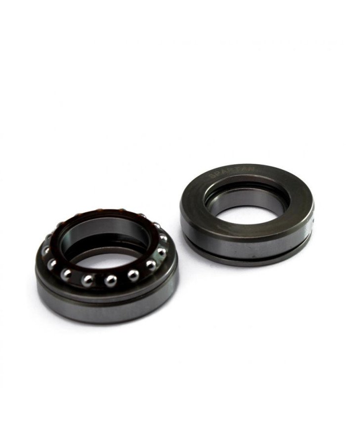 TAZA PISTA TIMON DISCOVER 125-ST SPARTAN