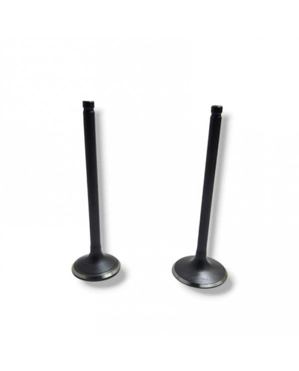 VALVULA ADMISION XL200 KBB SFX