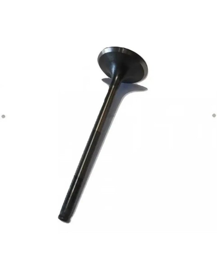 VALVULA ADMISION CG-CB125 (383) KIGCOL