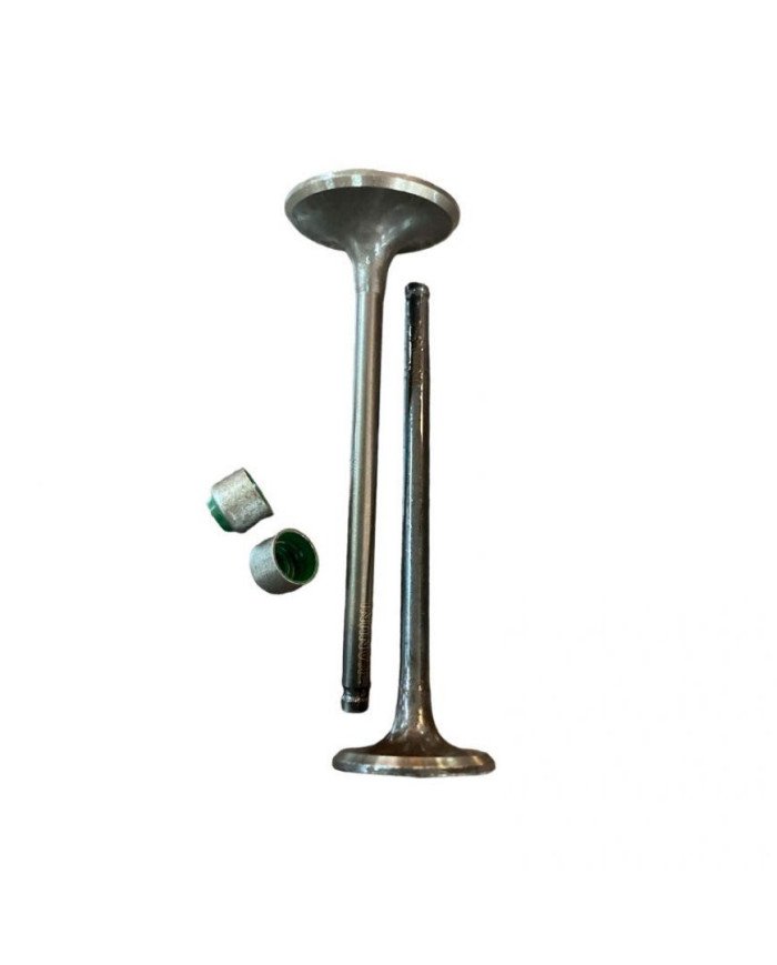 VALVULA ADMISION YBR125/XTZ125 KIGCOL