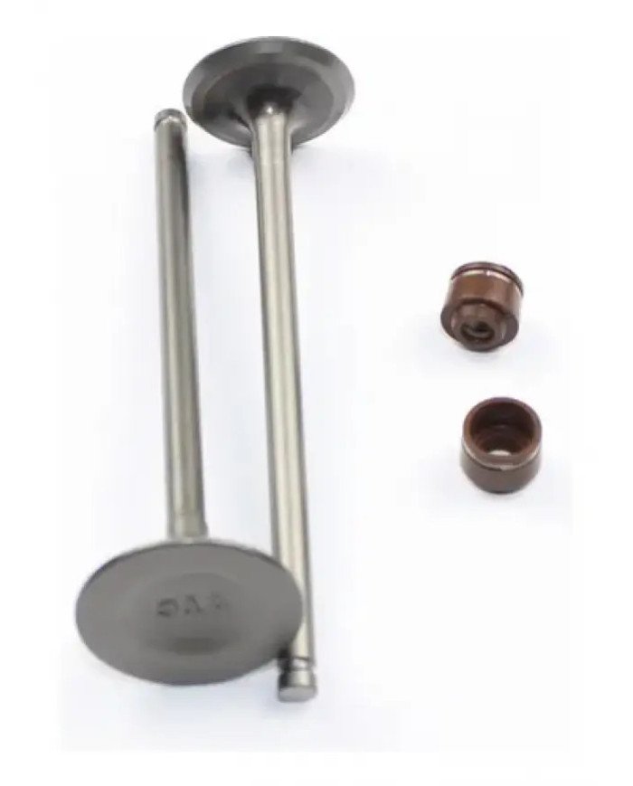 VALVULA ADMISION FZ16 C/SEGURO KIGCOL